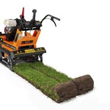 Image result for roboflail tehron