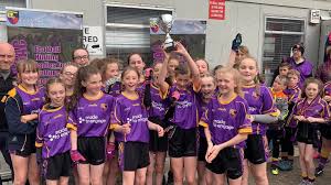 Image result for Carryduff Gaelic Athletic Club