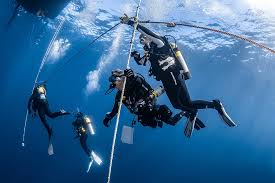 Image result for Headstream Divers
