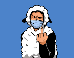 Image result for sheeple