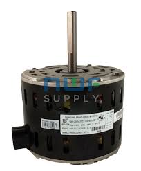 Image result for biojack tehron