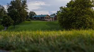 Image result for Sevenoaks Lawn Tennis Club