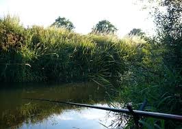 Image result for Penketh & Old Hall Angling Society