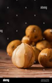 Image result for Lansongammon