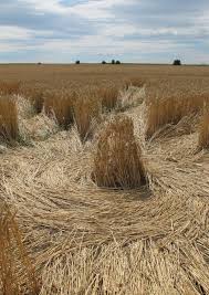 Image result for crop circle
