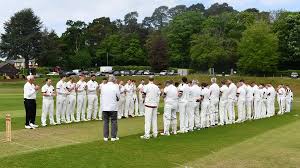 Image result for Friarmere Cricket Club