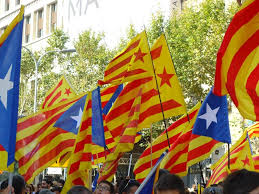 Image result for catalans universals