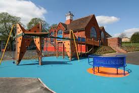 Image result for Disability Challengers