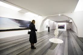 Attēlu rezultāti vaicājumam “Badhamia juliae”