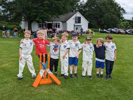 Image result for Ingatestone & Fryerning Cricket Club