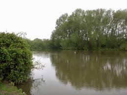 Image result for Thames Valley Angling