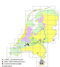 Attēlu rezultāti vaicājumam “Lophocolea minor”
