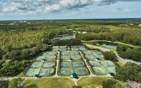 Image result for The Bourne Green Tennis Club