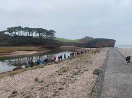 Image result for Budleigh Salterton Cricket Club