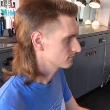 Image result for coupe longueuil