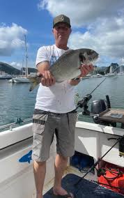 Image result for British Conger Club