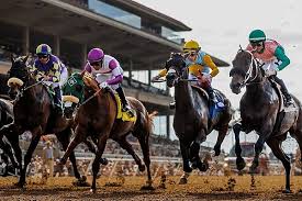 Image result for The Horse Racing Club
