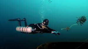 Image result for Headstream Divers