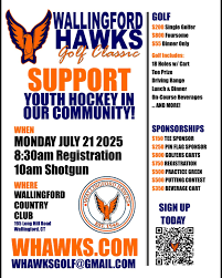 Image result for Wallingford Hockey Club