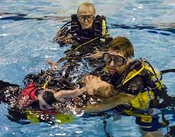 Image result for Teddington Sub-Aqua Club