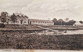 Image result for Limerick Draughts Club