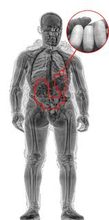 Image result for body scanner