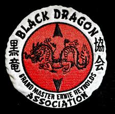 Image result for Dragon Martial Arts Association