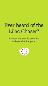 Image result for Lilac Chaser