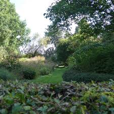 Image result for Priona Tuinen