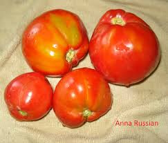 Afbeeldingsresultaat voor anna russian tomato