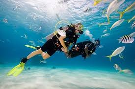 Image result for Dive Solutions, London
