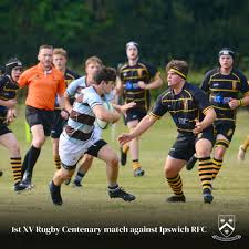 Image result for Ipswich Rfc