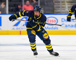 Image result for New Milton Hockey Club