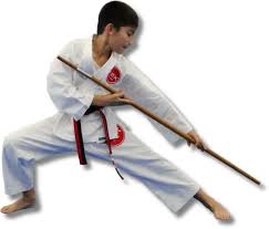 Image result for America's Best Karate