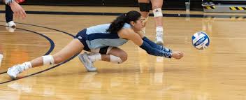 Image result for Reading Aces Volleyball Club