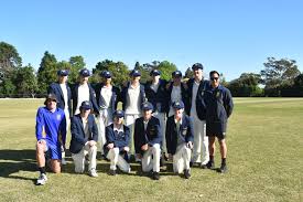 Image result for Waverley Cricket Club