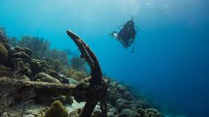 Image result for Scuba Skooling