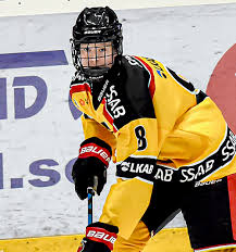 Kuvahaun tulos haulle hedvig