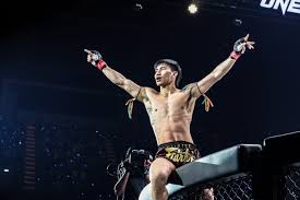 Image result for Bully Me Now Mixed Martial Arts