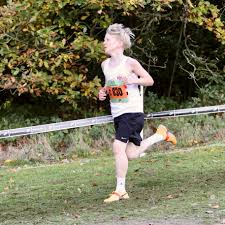 Image result for Lincoln Wellington Ac