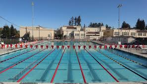 Image result for Brighouse Swimming Club