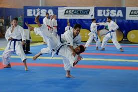 Image result for GKR KARATE - ESSEX & SUFFOLK