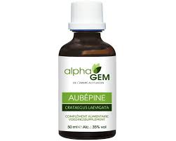 Attēlu rezultāti vaicājumam “Crataegus laevigata bud”