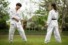 Image result for Ji Shin Do Karate