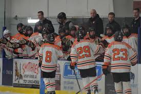 Image result for Demons Skater Hockey Club