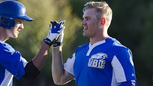 Image result for Hollingworth Cricket Club