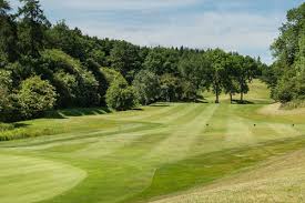 Image result for Greetham Valley Golf Club