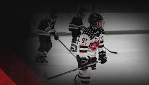Image result for Telford Junior Ice Hockey Club