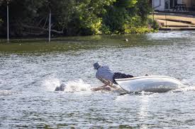 Image result for Wargrave Boating Club