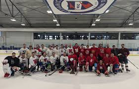 Image result for West Coast Wasps Skater Hockey Club